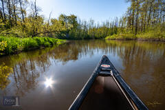 Benzie, Benzie County, Betsie River, Michigan, Pure Michigan, Up North, boat, canoe, canoing, paddle, paddling, river, spring...