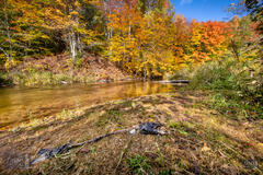 Benzie, Benzie County, Betsie River, Michigan, autumn, colors, fall, reflection, reflections, river, water, wilderness, woods...