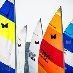 Benzie County, Butterfly Nationals, Butterfly Nationals 2019, CLYC, Crystal Lake, Crystal Lake Yacht Club, Michigan, blue, boating...