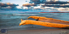 Driftwood Waves at Platte Point
