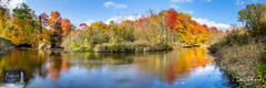 Flowing Color - Autumn along the Betsie River