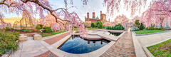 Spring at the Smithsonian Castle