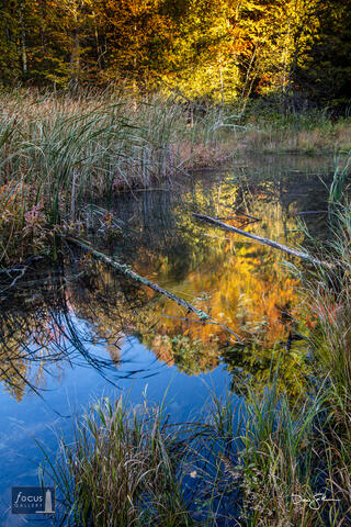 Autumn Creek Reflections