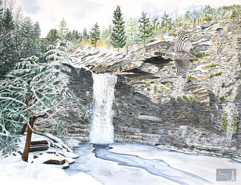 Original watercolor painting of a Cooper's Hawk blending in with the patterns of Awosting Falls in the winter.
