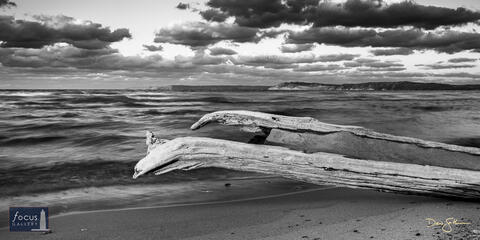 Driftwood Waves at Platte Point (B+W)