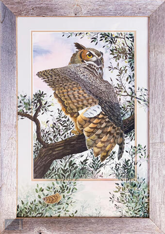 Original watercolor painting of a Great Horned Owl bird stretching its wing with painting continued onto mat board.