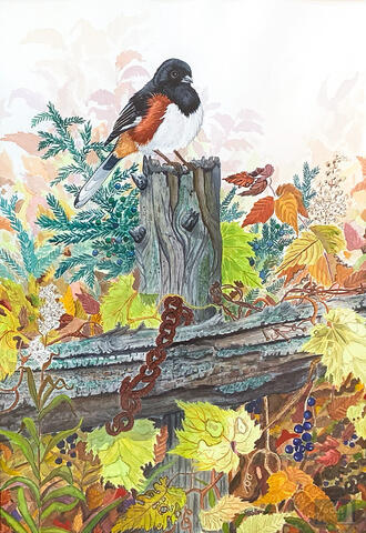 Original watercolor painting of an Eastern Towhee bird on an old wooden fence.