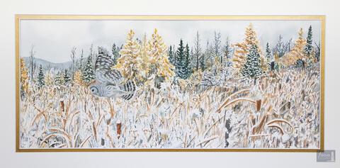 Original watercolor painting of a Barred Owl flying over a winter wetland.