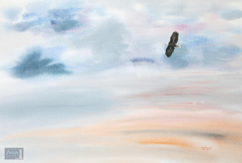 Original Watercolor painting of a Bald Eagle flying in colorful sunset clouds.