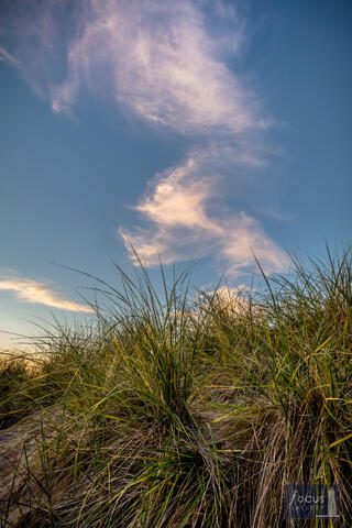 Benzie, Benzie County, Frankfort, Michigan, beach, cirrus, dune grass, grass, shore, shoreline, sky, sunset