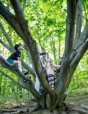 Arcadia Dunes, Arcadia Dunes: The CS Mott Nature Preserve, Benzie, Benzie County, GTRLC, Grand Traverse Regional Land Conservancy...