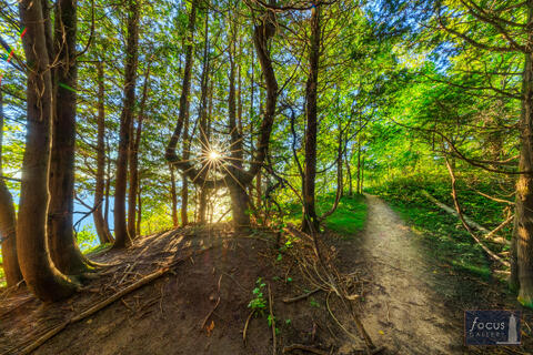 Benzie County, Frankfort Michigan, Great Lakes, HDR photography, Lake Michigan, Lake Michigan shoreline, Michigan landscape...