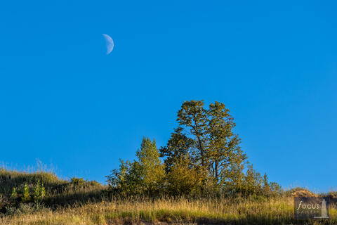 Benzie, Benzie County, Empire Bluff, Empire Bluff Trail, Michigan, NPS, National Park Service, SLBE, Sleeping Bear Dunes, Sleeping...