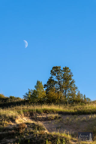 Benzie, Benzie County, Empire Bluff, Empire Bluff Trail, Michigan, NPS, National Park Service, SLBE, Sleeping Bear Dunes, Sleeping...