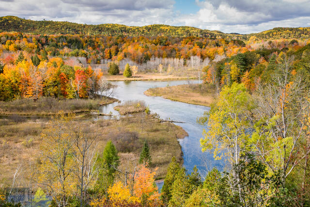 View of a bend in the Manistee River in fall colors.