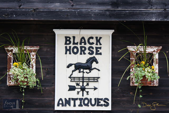 2x3, Antiques, Benzie, Benzie County, Beulah, Black Horse, Black Horse Antiques, Pure Michigan, antique, black, flower, flowers...
