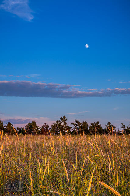 2x3, Benzie, Benzie County, Lake Michigan, Michigan, NPS, National Lakeshore, National Park, National Park Service, Peterson...