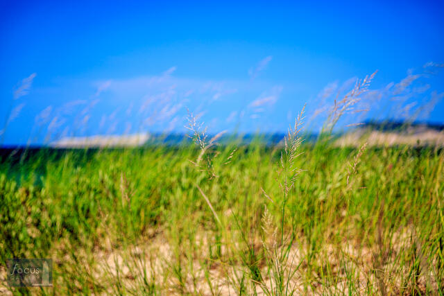2x3, Benzie, Benzie County, Lake Michigan, Michigan, NPS, National Lakeshore, National Park, National Park Service, Peterson...