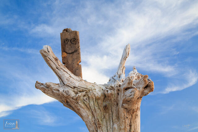 Photo of an old wooden plank with a smiley face on it against a blue sky.
