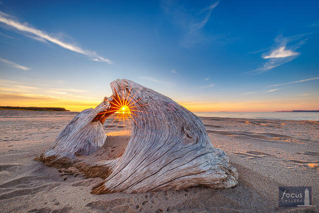 Sunset starburst through driftwood arch on Lake Michigan beach, Sleeping Bear Dunes, Michigan