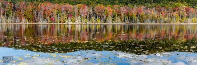 Autumn colors and lily pads reflected on the surface of Tucker Lake in the Sleeping Bear Dunes National Lakeshore.