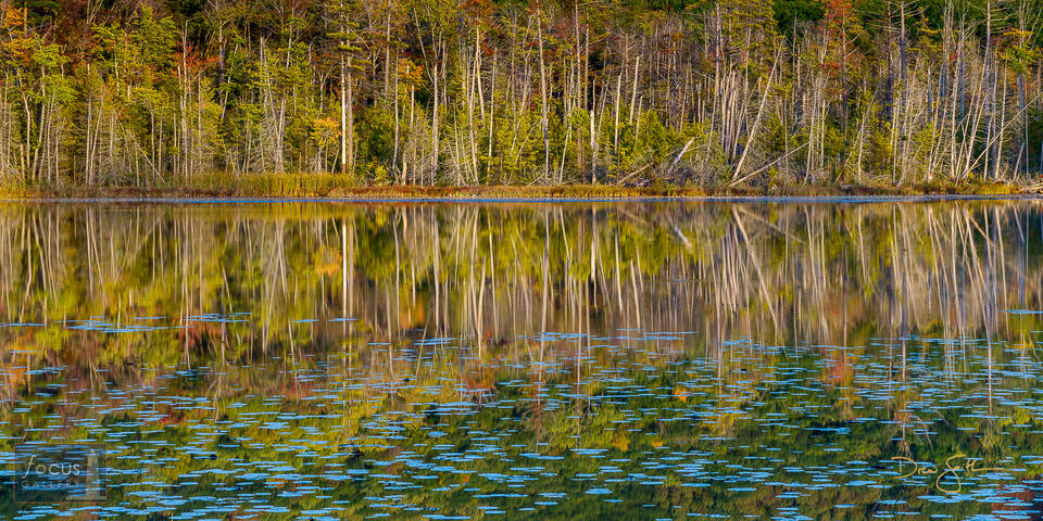 Glen Arbor, Lake, Leelanau, Leelanau County, Michigan, NPS, SLBE, Sleeping Bear Dunes, Sleeping Bear Dunes National Lakeshore...