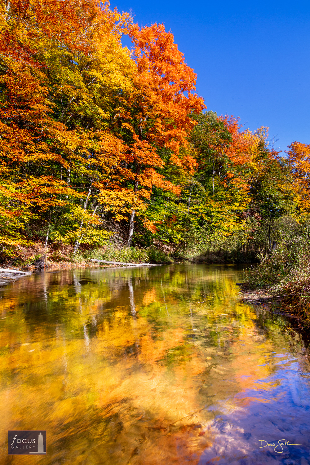 Photo © Drew Smith Peak fall foliage along the Betsie River on a beautiful blue-sky day.