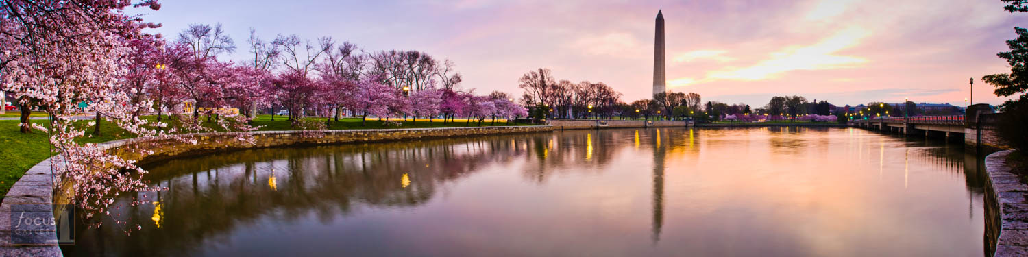Photo © Drew Smith Cherry Blossoms at sunrise along the Tidal Basin and Washington Monument.