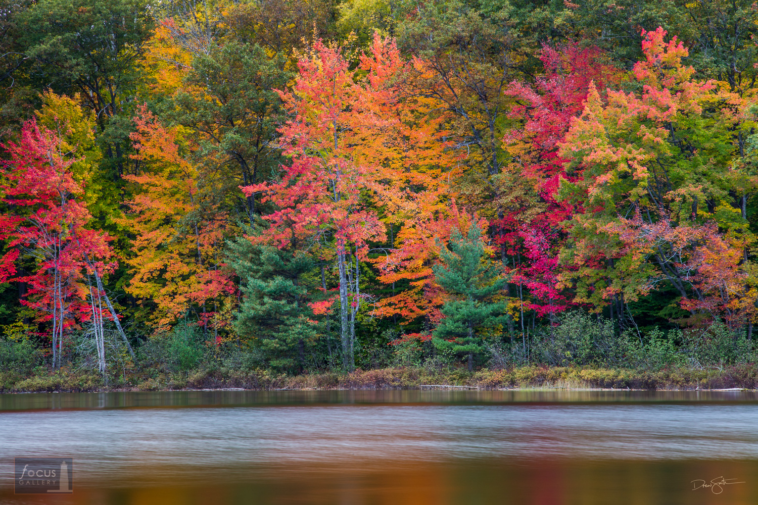 Fall colors and the shore of Ransom Lake.