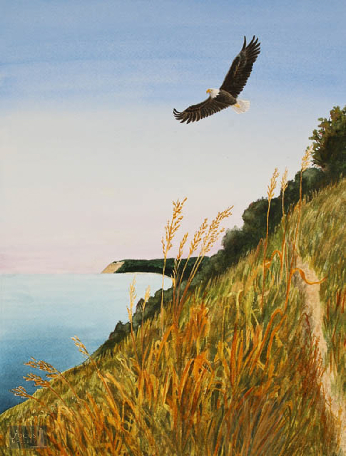 Original watercolor painting of a Bald Eagle soaring over the Empire Bluffs and Sleeping Bear Dunes in Michigan.