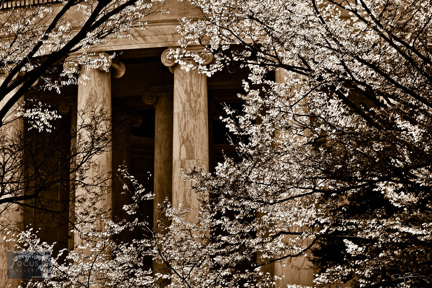 Photo © Drew Smith Spring at the Jefferson Memorial.