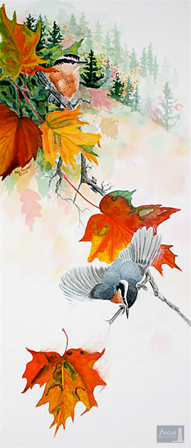 Original watercolor painting of a Red-breasted Nuthatch bird on a branch with fall color leaves.