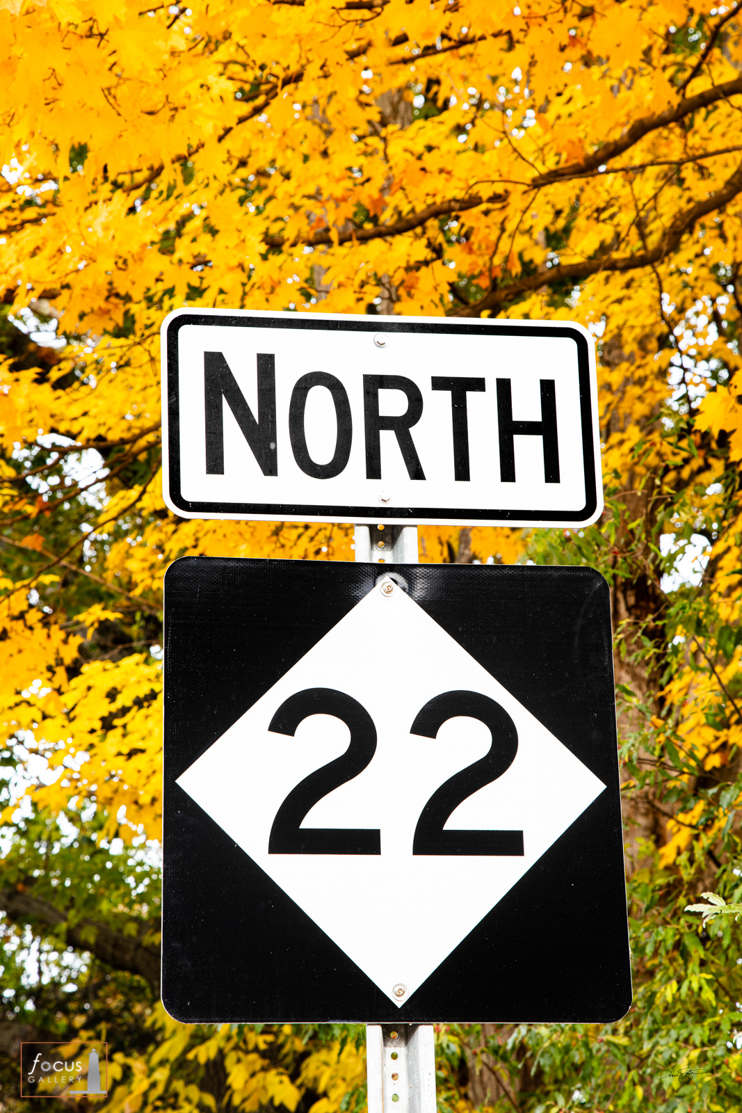 M22 North Scenic Highway sign with autumn colors behind.