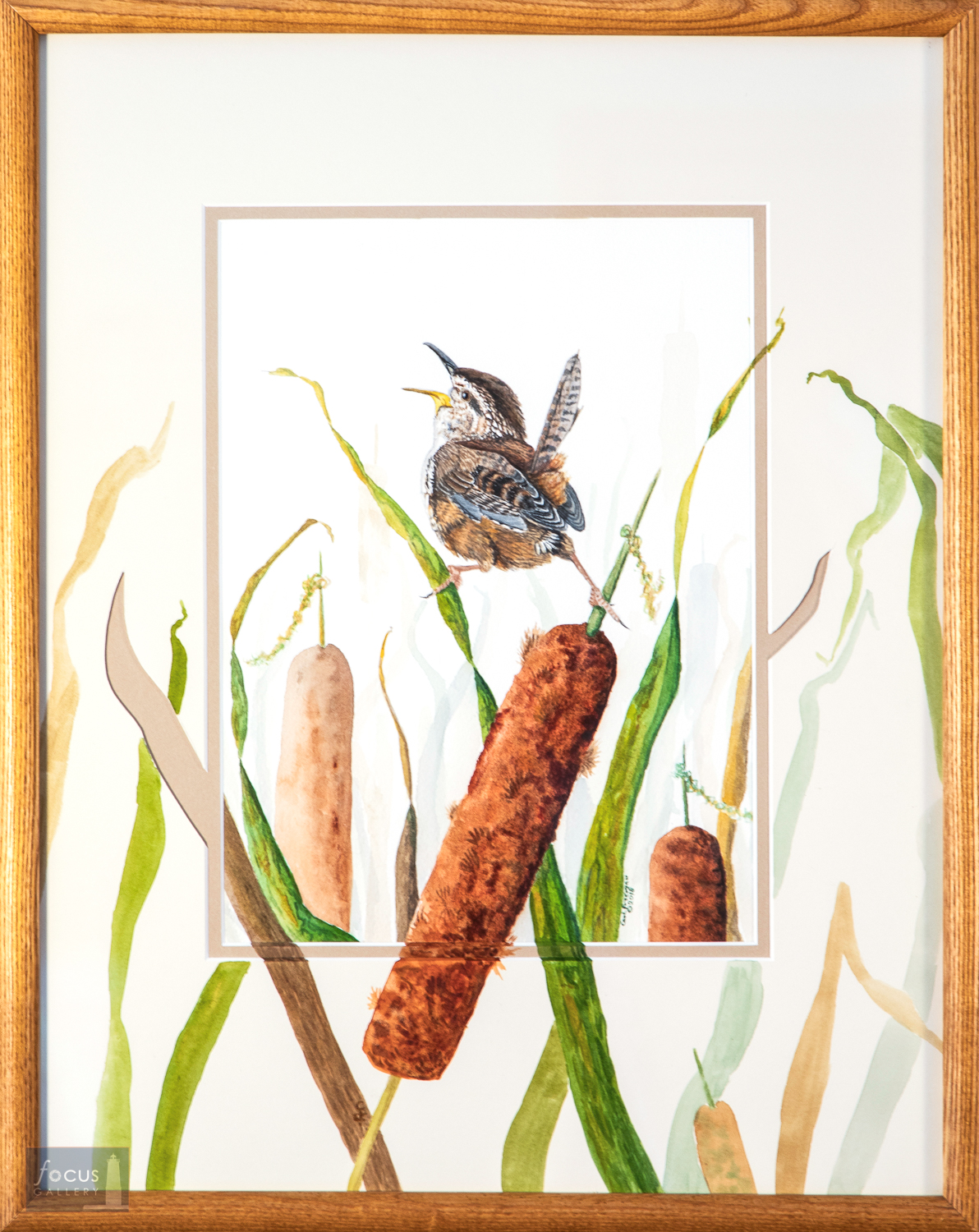 Original watercolor painting with embellished mat featuring a Marsh Wren signing atop a cattail bulrush.