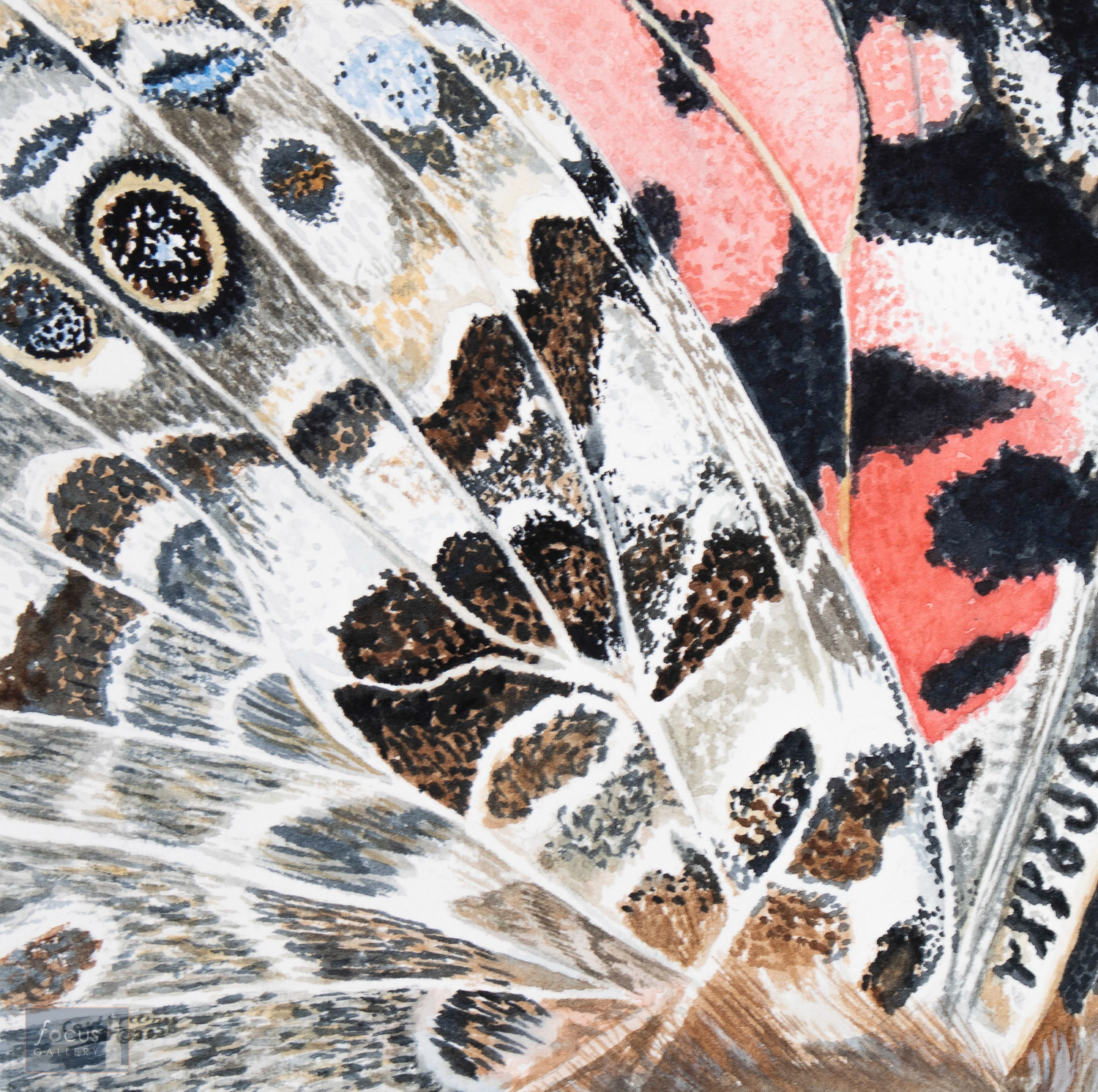 Original watercolor painting of the detail of the patterns on a Vanessa butterfly wing.